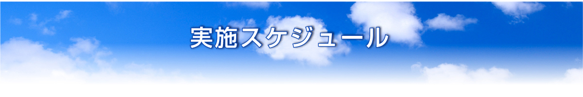 実施スケジュール