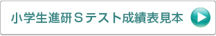 小学生進研Sテスト成績表見本